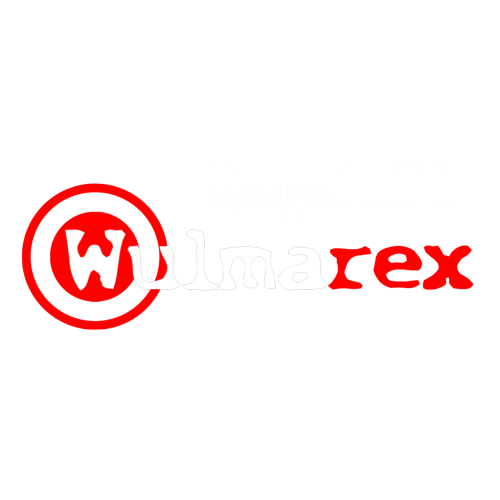 Bagażniki do każdego samochodu